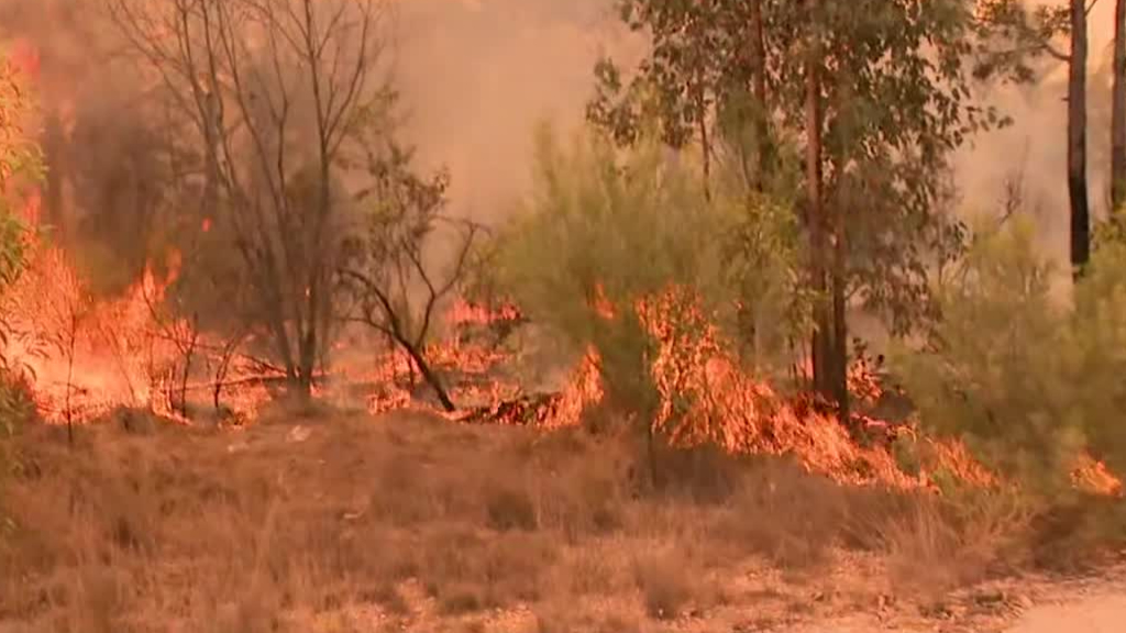 Queensland bushfires being brought under control